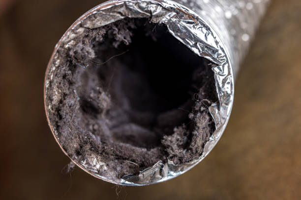 Best Affordable HVAC Duct Cleaning  in Calcium, NY